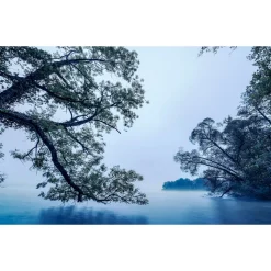 Vlies Fototapete Blue Waters 400x250 cm ^ Komar Online