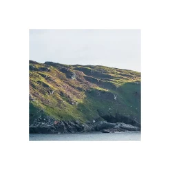 Vlies Fototapete Breath Taking 400x250 cm ^ Komar Best