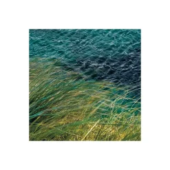 Vlies Fototapete Breath Taking 400x250 cm ^ Komar Best
