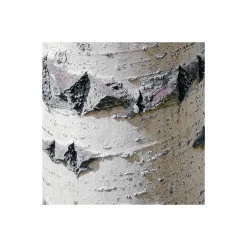 Vlies Fototapete Colorful Aspenwoods 450x280 cm ^ Komar Clearance