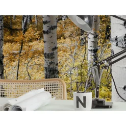 Vlies Fototapete Colorful Aspenwoods 450x280 cm ^ Komar Clearance