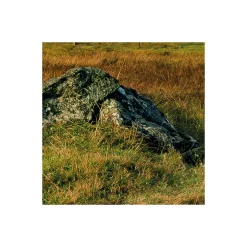Vlies Fototapete Coloured Faeroer 450x280 cm ^ Komar Discount