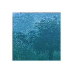 Vlies Fototapete Deep in the Jungle 400x280 cm ^ Komar Outlet