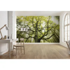 Vlies Fototapete Der Traumbaum 450x280 cm ^ Komar Discount