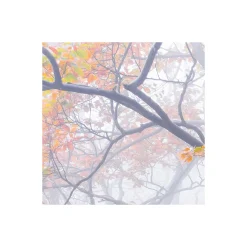 Vlies Fototapete Euphoria 300x200 cm ^ Komar Outlet