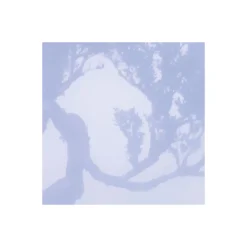 Vlies Fototapete Ghost Line 400x250 cm ^ Komar Discount