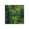 Vlies Fototapete Glenevin Falls 200x250 cm ^ Komar Outlet