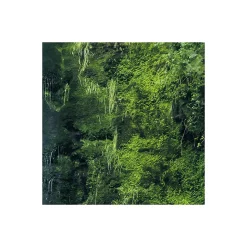 Vlies Fototapete Glenevin Falls 200x250 cm ^ Komar Outlet