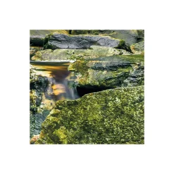Vlies Fototapete Glenevin Falls 200x250 cm ^ Komar Outlet