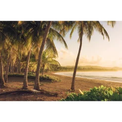 Vlies Fototapete Golden Lands 400x250 cm ^ Komar Outlet