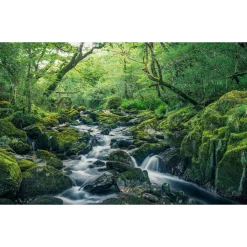 Vlies Fototapete Green Tales 400x250 cm ^ Komar New