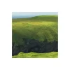 Vlies Fototapete Green Ireland 450x280 cm ^ Komar Outlet