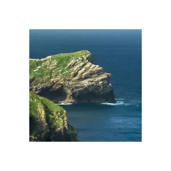 Vlies Fototapete Green Ireland 450x280 cm ^ Komar Outlet