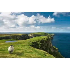 Vlies Fototapete Green Ireland 450x280 cm ^ Komar Outlet