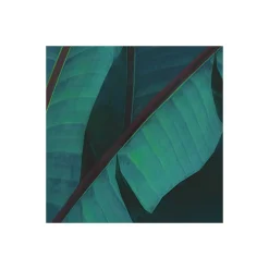 Vlies Fototapete Jungle Morning 400x250 cm ^ Komar New