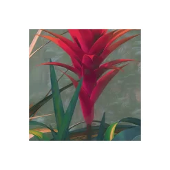 Vlies Fototapete Jungle Morning 400x250 cm ^ Komar New