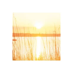 Vlies Fototapete Lakeside 300x250 cm ^ Komar Sale