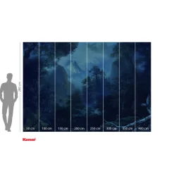 Vlies Fototapete Midnight 400x280 cm ^ Komar Outlet