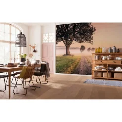 Vlies Fototapete Misty Morning 400x250 cm ^ Komar Hot