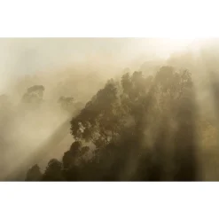 Vlies Fototapete Misty Mountain 400x250 cm ^ Komar Best