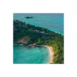 Vlies Fototapete Monkey Island 350x200 cm ^ Komar New