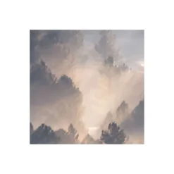 Vlies Fototapete Rays 300x250 cm ^ Komar Discount