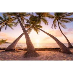 Vlies Fototapete Reaching the Sun 400x250 cm ^ Komar Sale