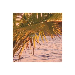 Vlies Fototapete Reaching the Sun 400x250 cm ^ Komar Sale