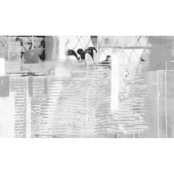 Vlies Fototapete Rhombus Hiding 500x280 cm ^ Komar Online