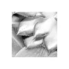 Vlies Fototapete Shades Black and White 400x250 cm ^ Komar Clearance