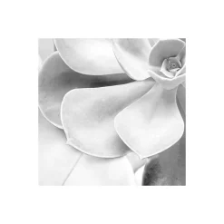 Vlies Fototapete Shades Black and White 400x250 cm ^ Komar Clearance