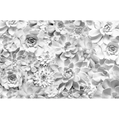 Vlies Fototapete Shades Black and White 400x250 cm ^ Komar Clearance
