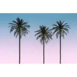 Vlies Fototapete Skyhigh 400x250 cm ^ Komar Outlet