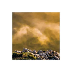 Vlies Fototapete Soul of Light 400x250 cm ^ Komar Online