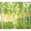 Vlies Fototapete Sunday 300x250 cm ^ Komar Sale