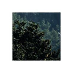 Vlies Fototapete The Summit 300x200 cm ^ Komar New
