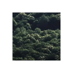 Vlies Fototapete The Summit 300x250 cm ^ Komar Clearance