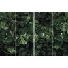 Vlies Fototapete Tropical Wall 400x250 cm ^ Komar