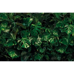 Vlies Fototapete Tropical Wall 400x250 cm ^ Komar