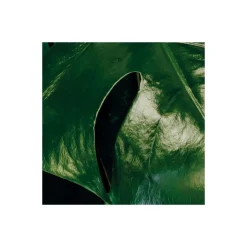 Vlies Fototapete Tropical Wall 400x250 cm ^ Komar