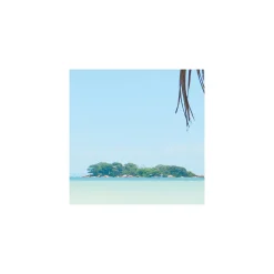 Vlies Fototapete Under The Palmtree 200x250 cm ^ Komar