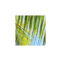 Vlies Fototapete Under The Palmtree 200x250 cm ^ Komar