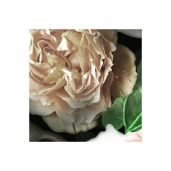 Vlies Fototapete Victoria Black 400x250 cm ^ Komar Clearance