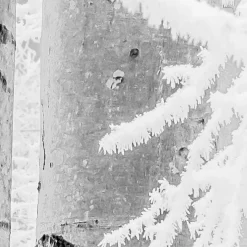 Vlies Fototapete Winter Wood 400x280 cm ^ Komar Sale