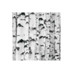 Vlies Fototapete Woods 400x270 cm ^ Komar Online