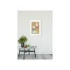 Wandbild ABC Animal B 50x70 cm ^ Komar Best