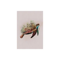 Wandbild Animals Paradise Turtle 50x70 cm ^ Komar Outlet