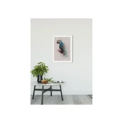 Wandbild Animals Paradise Parrot 50x70 cm ^ Komar