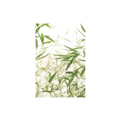 Wandbild Bamboo Leaves 50x70 cm ^ Komar Clearance