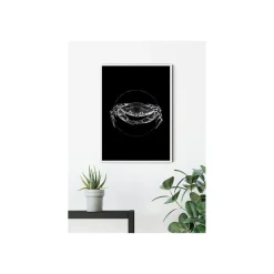 Wandbild Crab Black 50x70 cm ^ Komar Outlet